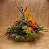 Florist choice: Flax Box Arrangement