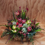 Botanical Garden in a Flax Box