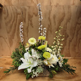 Botanical Garden in a Flax Box