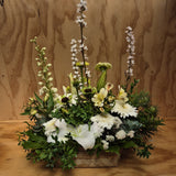 Botanical Garden in a Flax Box