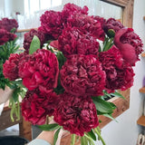 Peonies!