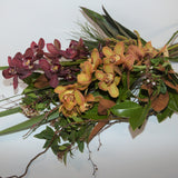 Florists Choice: Cymbidium Orchids Gift Wrapped