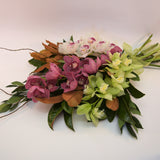 Florists Choice: Cymbidium Orchids Gift Wrapped