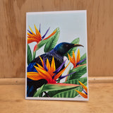 Sophie Blokker Large Cards