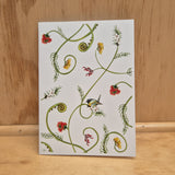 Sophie Blokker Large Cards