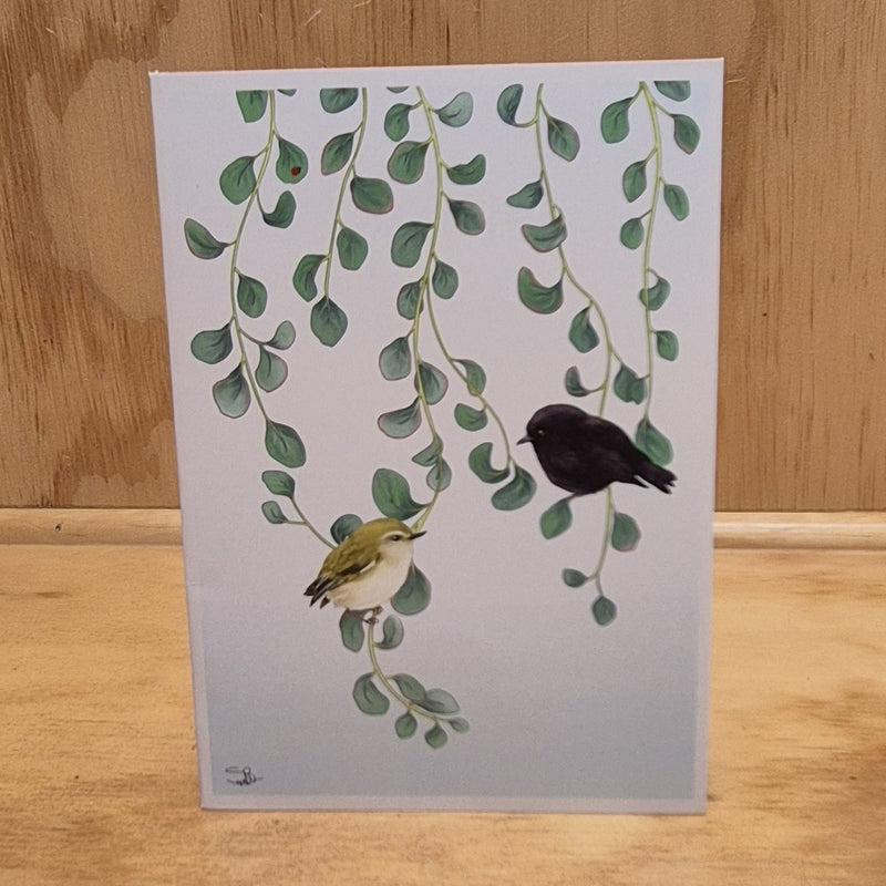 Sophie Blokker Large Cards