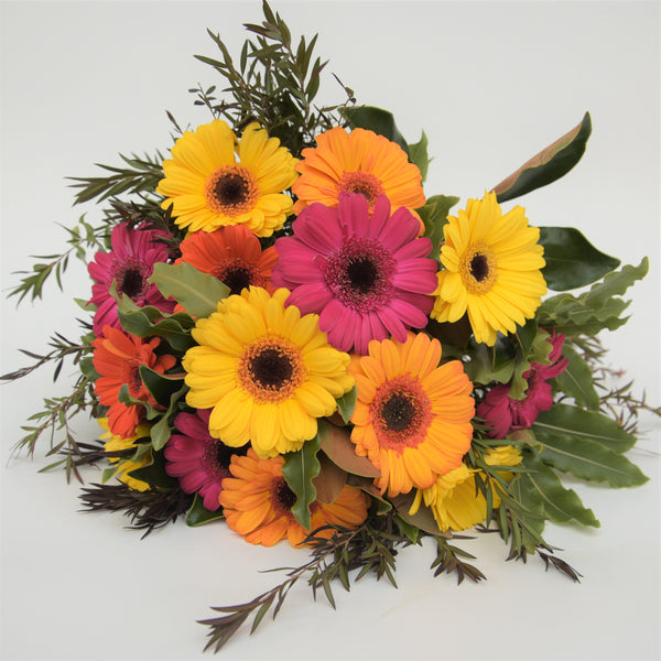 Just gerberas