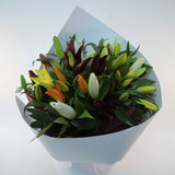 Simply Lilies