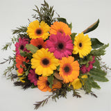 Bouquet of colorful gerbera daisies with green leaves on a white background