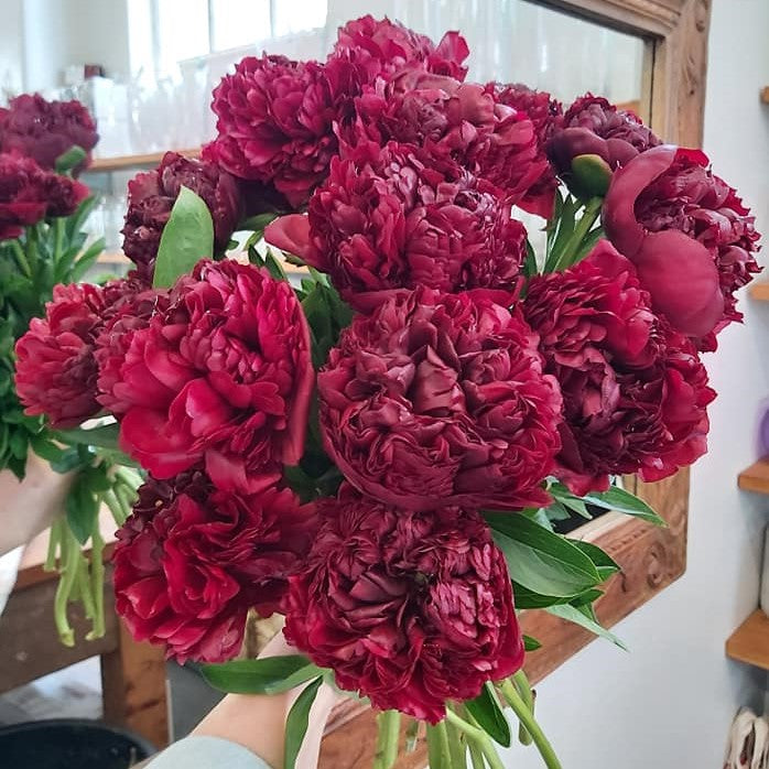 Peonies!