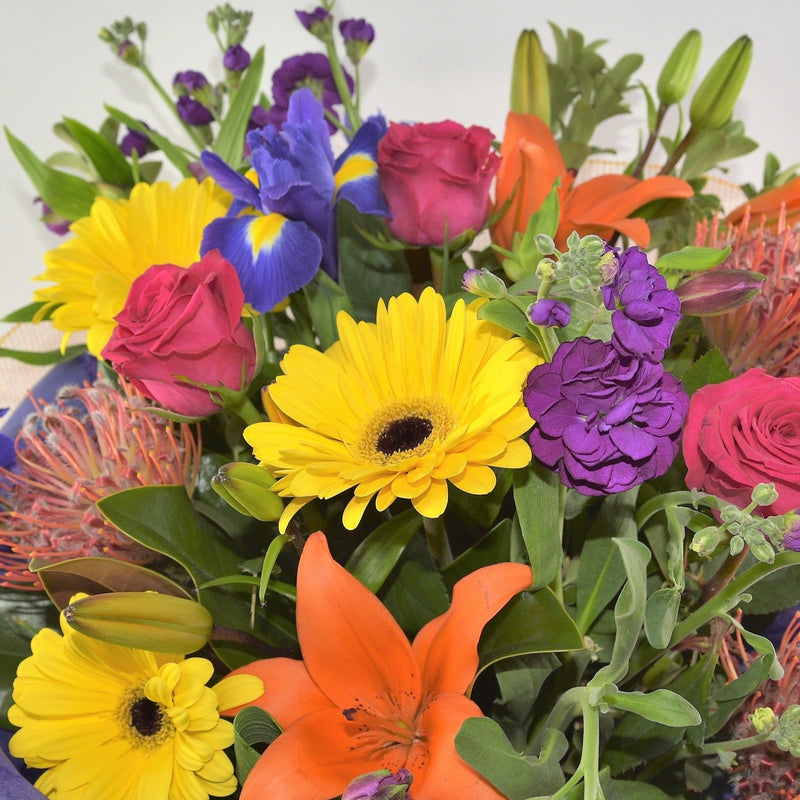 Florist Choice: Seasonal Bouquet or Waterbox