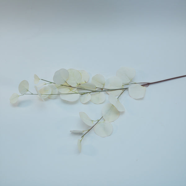 Dollar Leaf Eucalyptus Stems