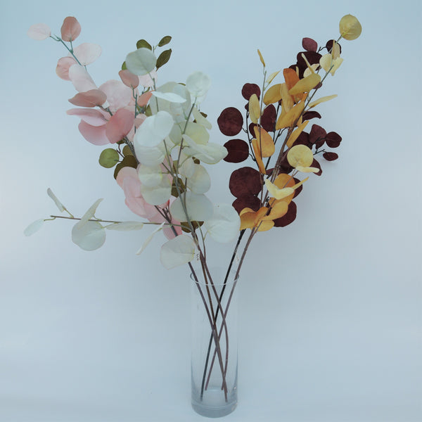 Dollar Leaf Eucalyptus Stems