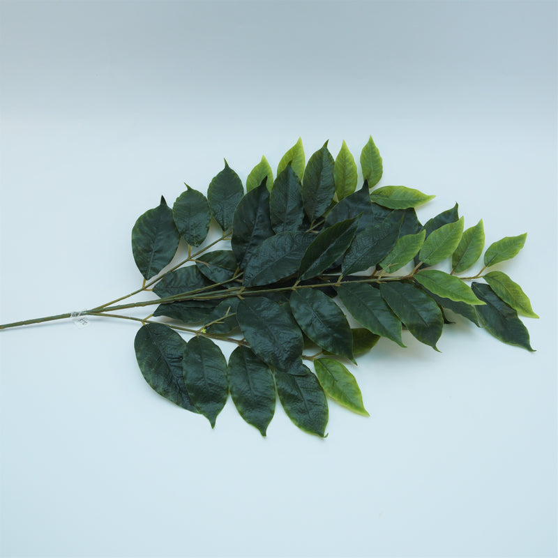 Green Leaf Stem