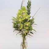 Orchids in a Vase
