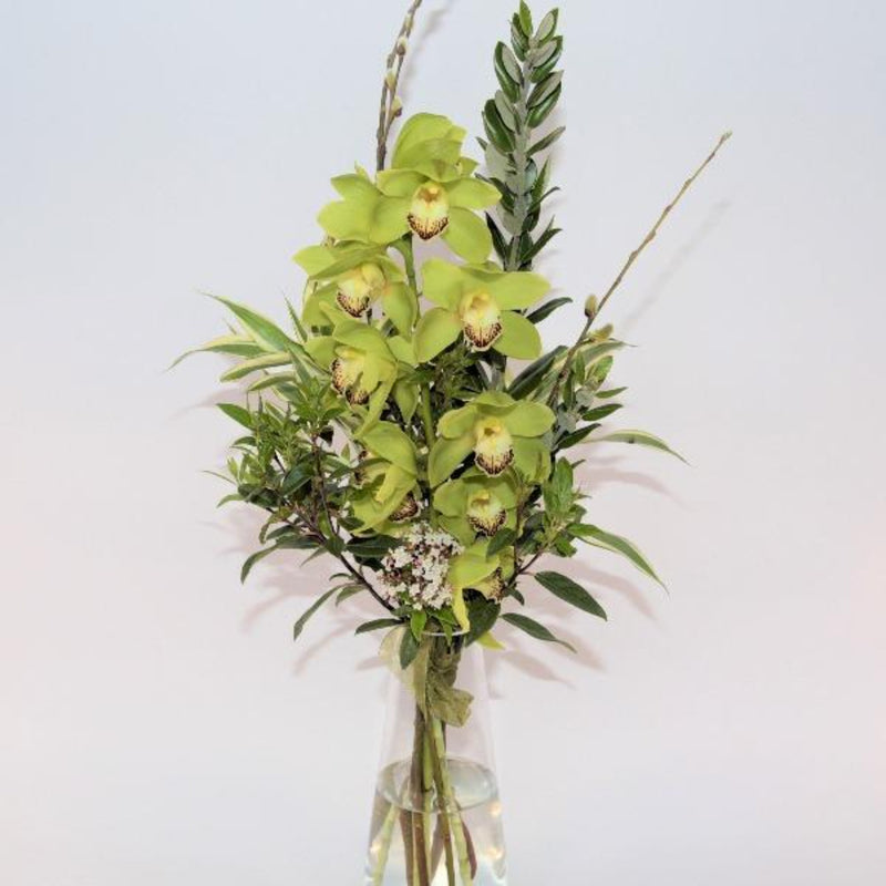 Orchids in a Vase