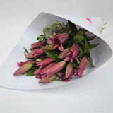 Stunning White or Pink Oriental Lilies