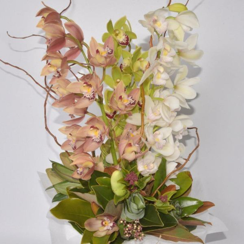 Orchids in a Vase