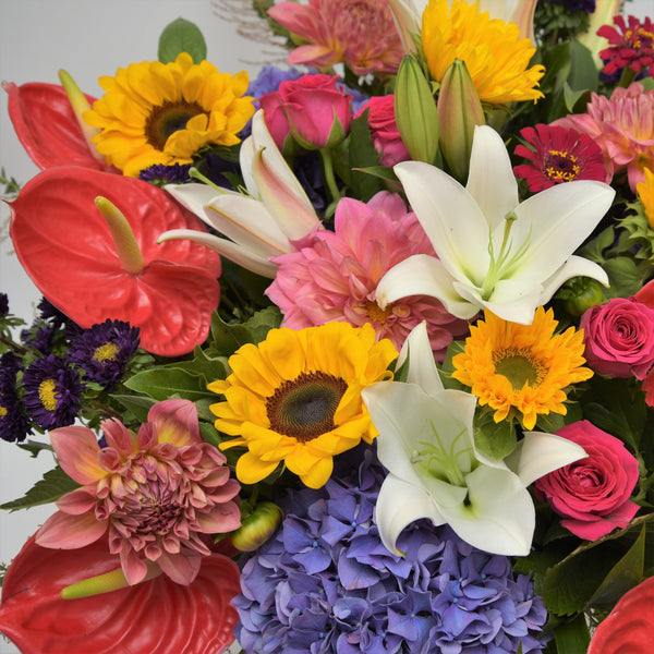 Florist Choice: Colourful Bouquet or Waterbox