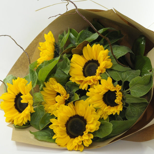 Stunning Sunflowers