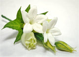Florist Choice: White Buttonhole
